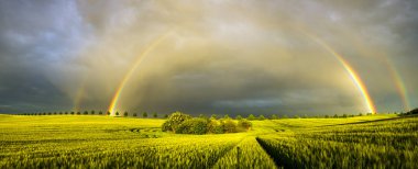 Szczecin, Polonya, Eylül 2016: futuristik ofis Szczecin Filarmoni Binası