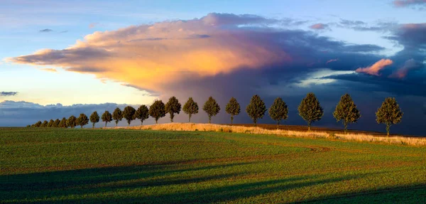 Pienza, Italie-Septembre 2015 : le célèbre paysage toscan à Sunri — Photo