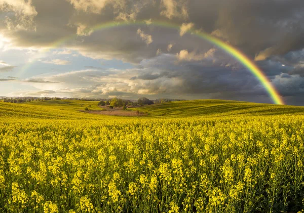 Színes rainbow múló vihar után a mező fölött — Stock Fotó