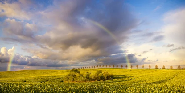 Bunter Regenbogen über dem Feld nach vorbeiziehendem Regensturm — Stockfoto