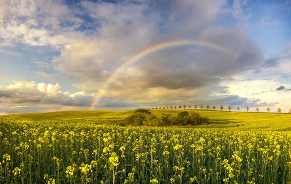 Bunter Regenbogen über dem Feld nach vorbeiziehendem Regensturm — Stockfoto