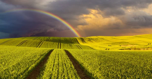 Arco iris sobre un campo después de la tormenta de la noche —  Fotos de Stock