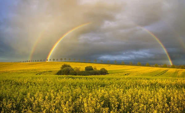 Arco iris colorido sobre el campo después de pasar tormenta —  Fotos de Stock