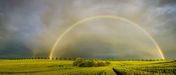 Arco-íris colorido sobre o campo depois de passar a tempestade — Fotografia de Stock