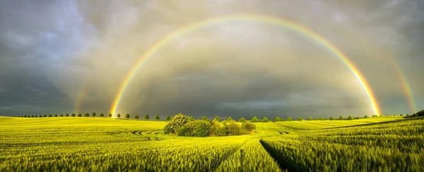 Arco iris colorido sobre el campo después de pasar tormenta —  Fotos de Stock