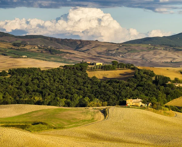 Pienza,Italy-September 2015:the famous Tuscan landscape at sunri Stock Image