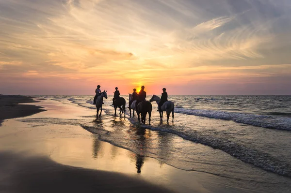 Riders on horseback riding along the seashore at sunset — Stock Photo, Image