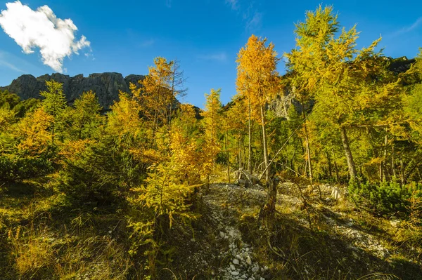 Herfst in de Julische Alpen, de pass Wrszicz, Slovenië — Stockfoto