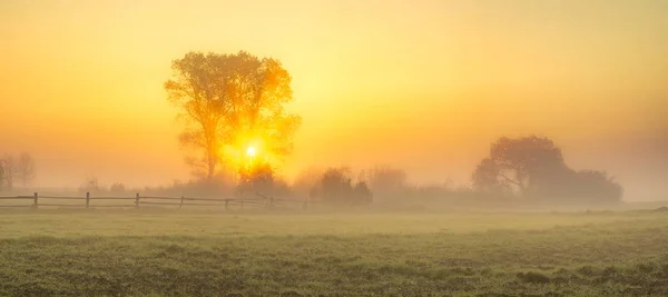 Туманное солнечное утро в сельской местности — стоковое фото