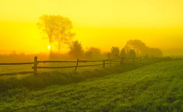 Neblig, sonniger Morgen auf dem Land — Stockfoto