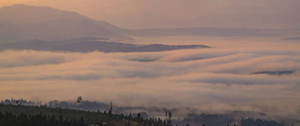Morgennebel in den slowakischen Bergen — Stockfoto