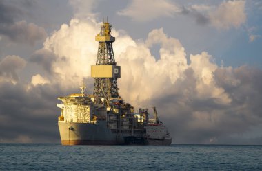 Kanarya Adaları plajda palmiye ağaçları