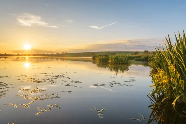 Güzel, güneşli, renkli ve sisli gündoğumu wh göl üzerinde — Stok fotoğraf