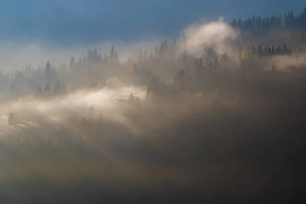 Valley of the mountain flooded with mists in the morning — Stock Photo, Image