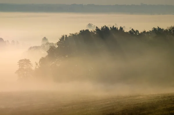 Nebbiosa mattina d'autunno sulla valle — Foto Stock