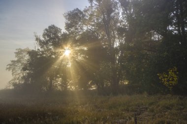 Kurtlar Vadisi üzerinden sisli sonbahar sabahı