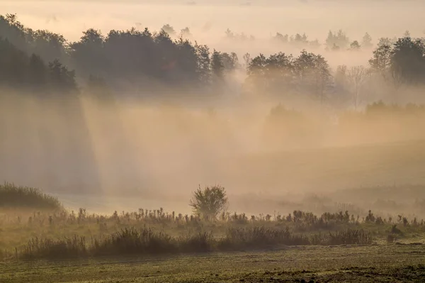 Mglisty jesienny poranek nad doliną — Zdjęcie stockowe