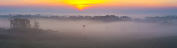 Охотничья башня в красивых туманных пейзажах — стоковое фото