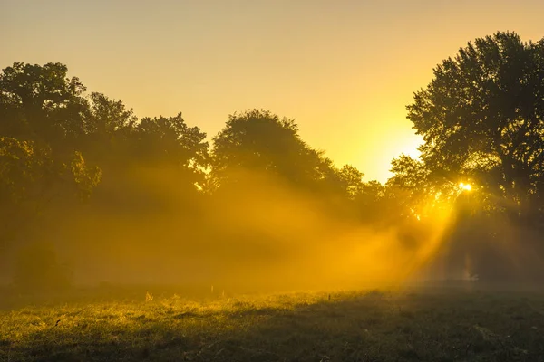 Schöner nebliger und sonniger Morgen im Park — Stockfoto
