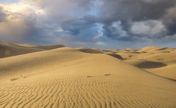 Famous natural park Maspalomas dunes in Gran Canaria at sunrise,