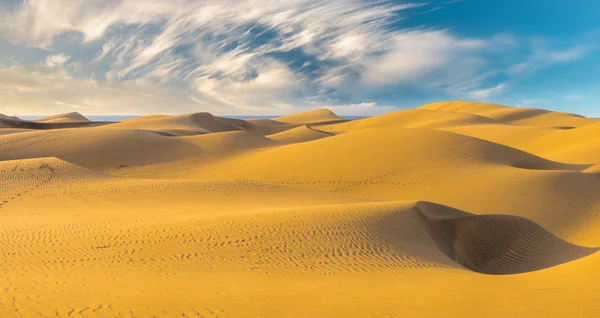 Famous natural park Maspalomas dunes in Gran Canaria at sunrise,