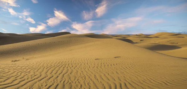 Famous natural park Maspalomas dunes in Gran Canaria at sunrise,