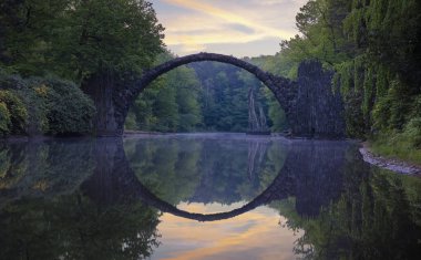 Kromlau, Almanya'da ormangülü parkta bahar