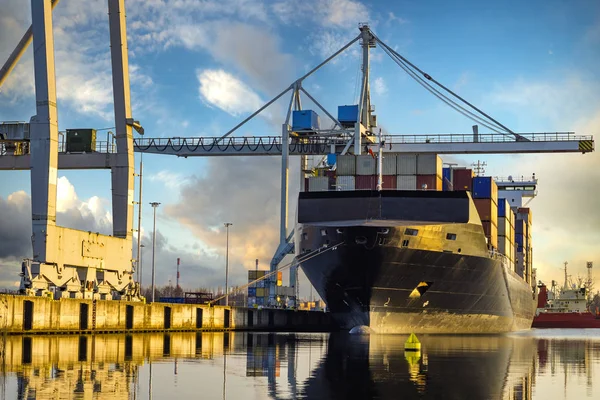 Limandaki konteyner gemisi — Stok fotoğraf