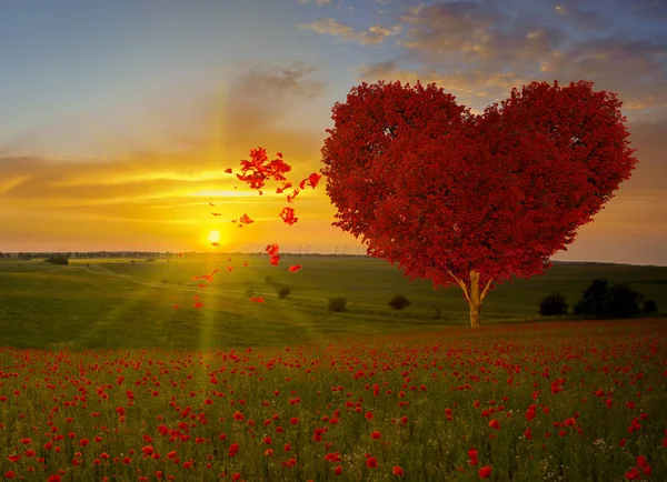 Piros szív alakú fa-szimbólum a szerelem és Valentin-nap — Stock Fotó