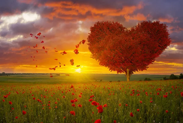 Albero-simbolo dell'amore a forma di cuore rosso e San Valentino — Foto Stock