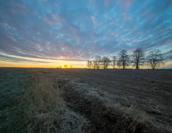 Escarcha en un campo verde — Foto de Stock