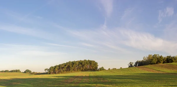 Våren, gröna fält, panorama — Stockfoto