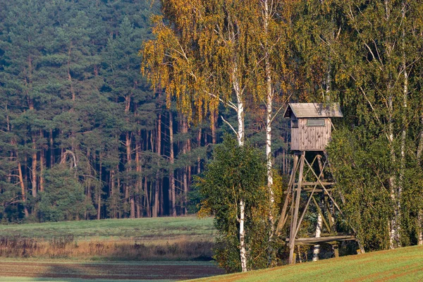 Tour de chasse sous la forêt d'automne — Photo