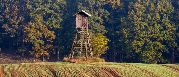 Tour de chasse sous la forêt d'automne — Photo