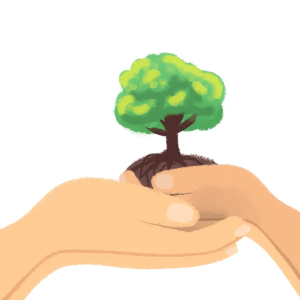 world environment day hands holding a plant tree hands holding hands