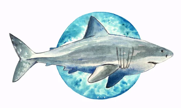 手绘水彩画鲨鱼 — 图库照片