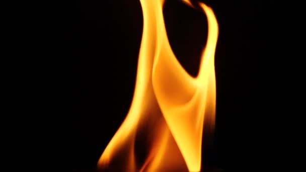 Schöne Feuerflammen Sammeln Sich Isoliert Auf Schwarzem Hintergrund Zeitlupe Feuerflammen — Stockvideo