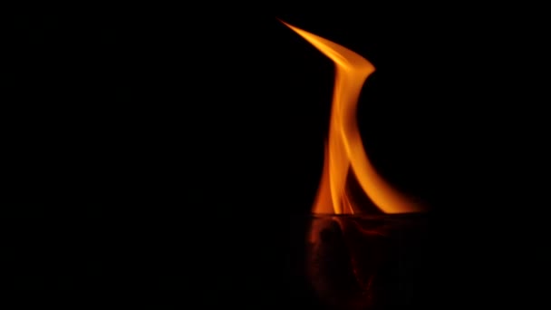 Belle collection de flammes de feu isolées sur fond noir au ralenti. Gros plan sur les flammes de feu .