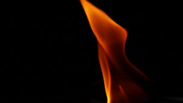 美丽的火焰以慢动作隔离在黑色背景上 靠近火堆 — 图库视频影像