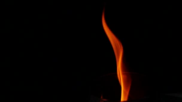 Сбор Огненных Факелов Черном Фоне Замедленной Съемке Закрыть Пламя Огня — стоковое видео