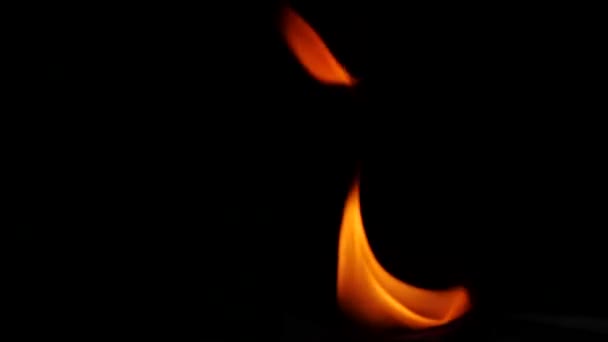 Όμορφη Φωτιά Φλόγες Συλλογή Απομονώνονται Μαύρο Φόντο Αργή Κίνηση Κλείσε — Αρχείο Βίντεο