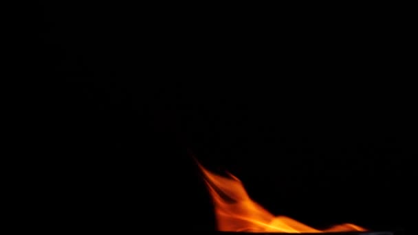 Belle collection de flammes de feu isolées sur fond noir au ralenti 
