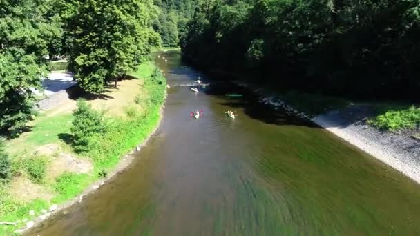 Nehirde Yüzen Kayakçıların Yeşil Bitki Örtüsüyle Çevrili Görüntüsü Kayakçılar Kürek — Stok video
