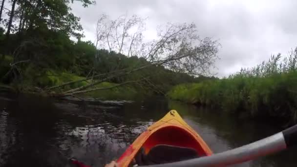 Pohled První Osoby Pov Perspektiva Pohled Kajak Nebo Kánoi Záběry — Stock video