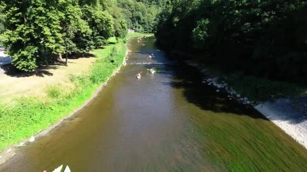 Letecký Pohled Kajakáře Pádlující Dolů Řece Obklopené Zelenou Flórou Kajakáři — Stock video