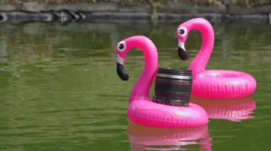 Yaz mevsiminde bahçe havuzunda lensli iki pembe şişme flamingo. Pembe canlı flamingo. Kavram: Tatiller, tatiller, film operatörü, rahatlama
