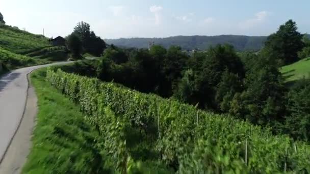 Luchtfoto Van Weg Groene Heuvels Wijngaarden Een Heuvel Slovenië Europa — Stockvideo