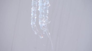 Soğuk kış mevsiminde buz saçağını eritmenin ya da sarkıtın süper yavaş çekimi. Su damlaları yavaşça düşüyor. Kavram: dondurucu soğuk, eriyen buz, küresel ısınma.