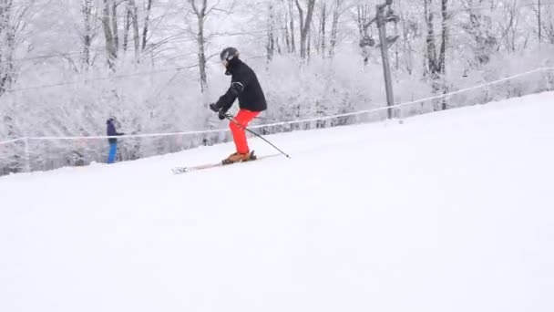 Esquiador Profissional Esquiando Encosta Lindas Paisagens Brancas Inverno Árvores Cobertas — Vídeo de Stock