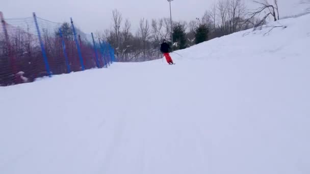 プロのスキーヤーは斜面を滑り降りる 美しい冬の白い風景は 木々の雪で覆われた スキーは古典的なスキースタイルで速く乗っている — ストック動画